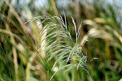 开放世界冒险游戏《Cubic Odyssey》Steam页面 年内发售